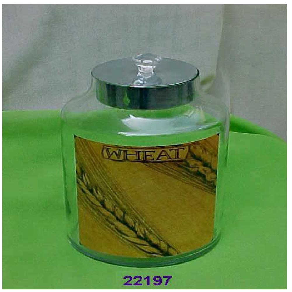 Decorative Glass Jar